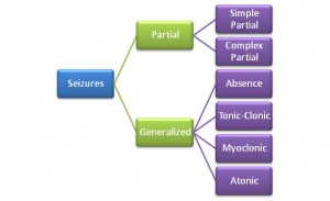 seizures flow chart