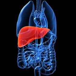 hepatitis c of the liver